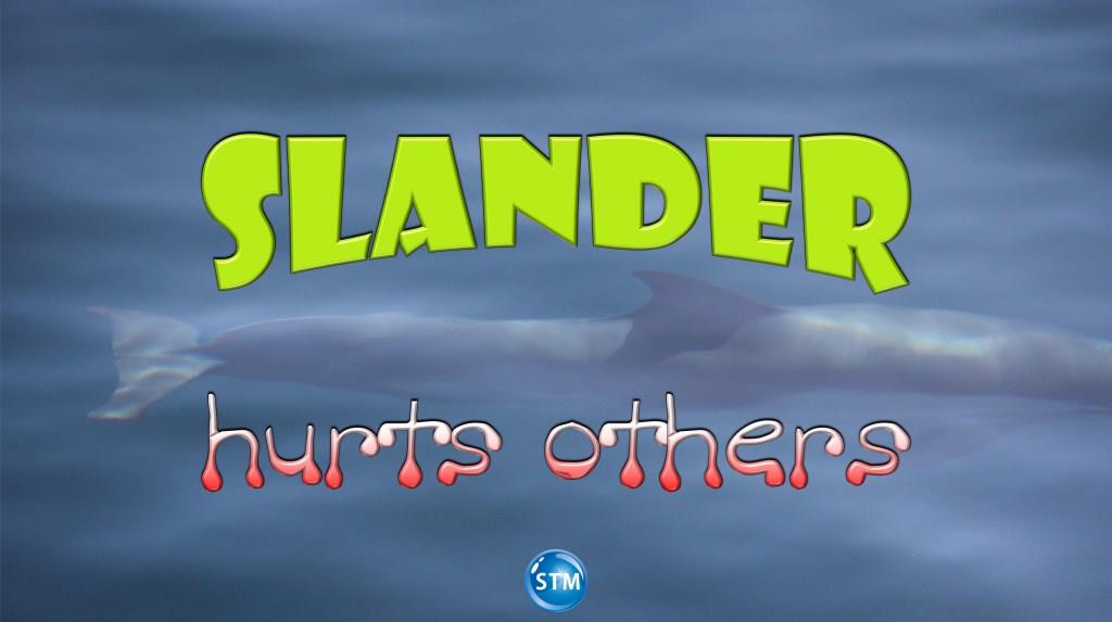 Slander - dolphin (looks like a shark)